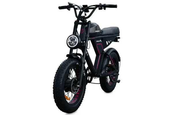 Bluerev Perraro Jaguar II Dual Motor, Dual Battery